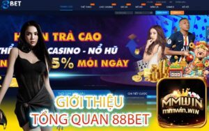 Giới thiệu tổng quan 88Bet