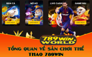 Tổng Quan Về 789Win